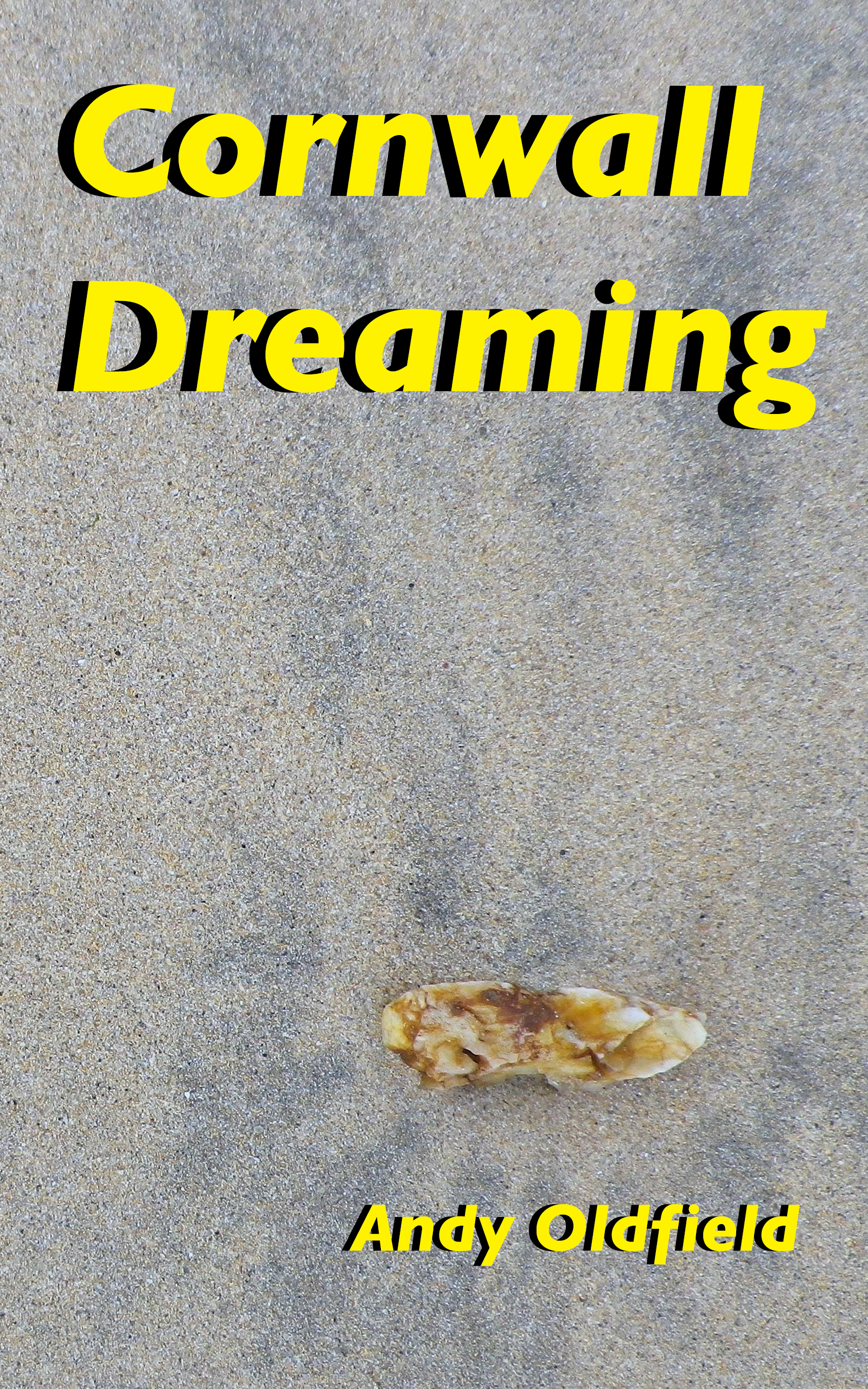 Cornwall Dreaming
                        cover